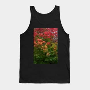 Autumn fall changing leaves red green thanksgiving Tank Top